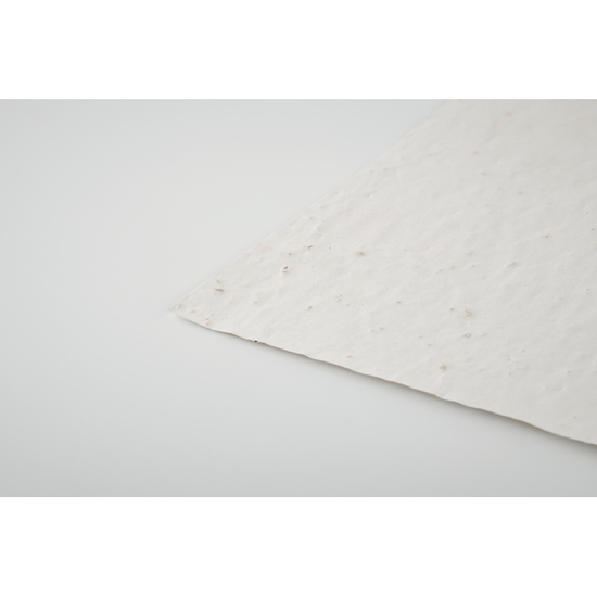 DIN A6 Wildblumen-Samenpapier