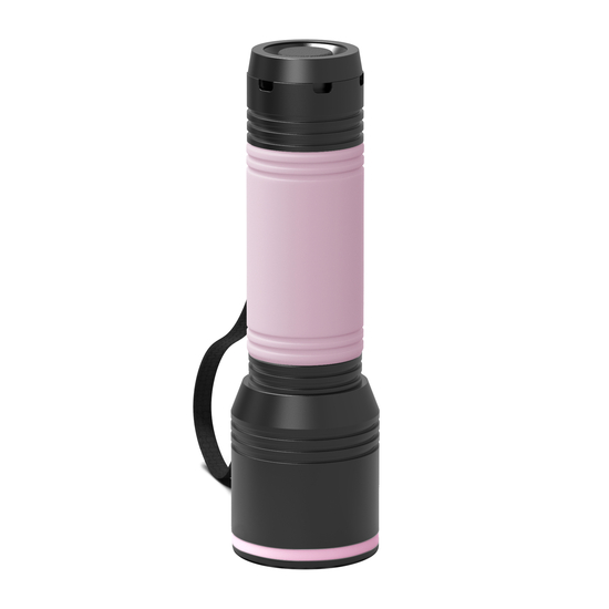 Taschenlampe REEVES-myFLASH 700