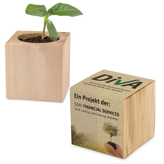 Pflanz-Holz mit Samen (Graspapier-Banderole) - Ringelblume