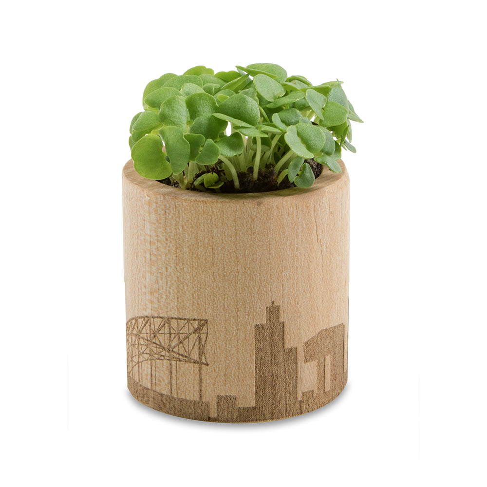 Pflanz-Holz rund mit Samen - Thymian, Rundum-Lasergravur