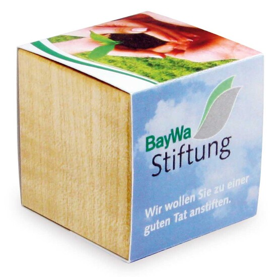 Pflanz-Holz Magnet mit Samen - Persischer Klee