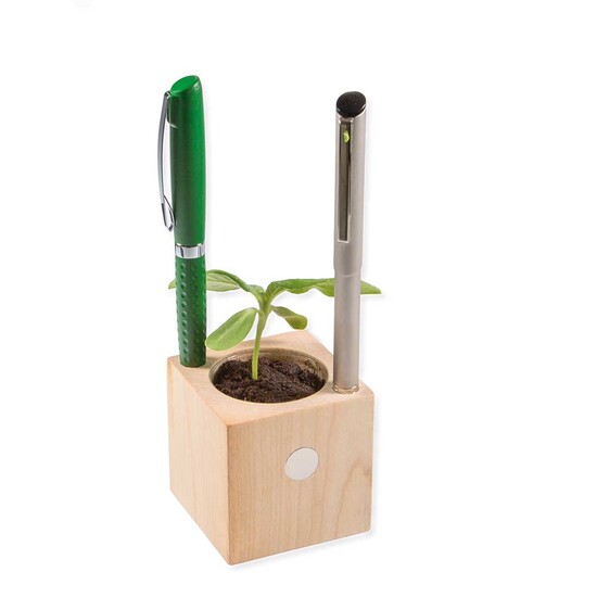 Pflanz-Holz Büro mit Samen - Gartenkresse