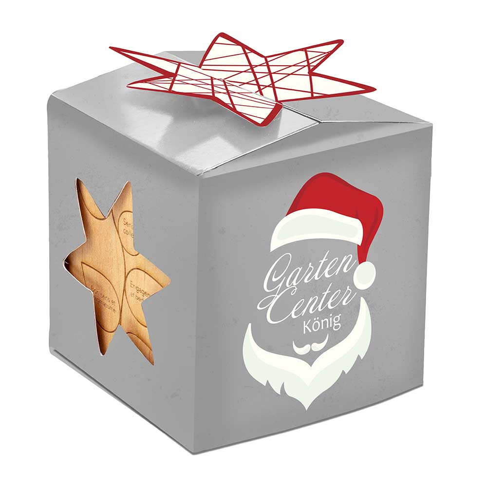 Pflanz-Holz Büro Star-Box mit Samen - Sonnenblume