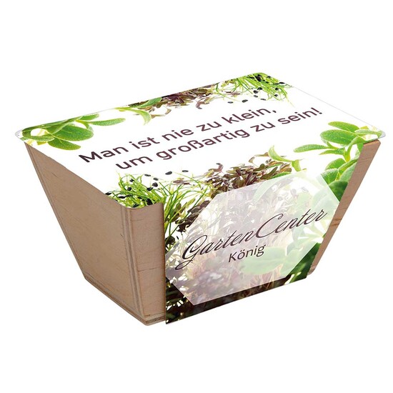 Mini-Beet mit Samen - Petersilie, Lasergravur