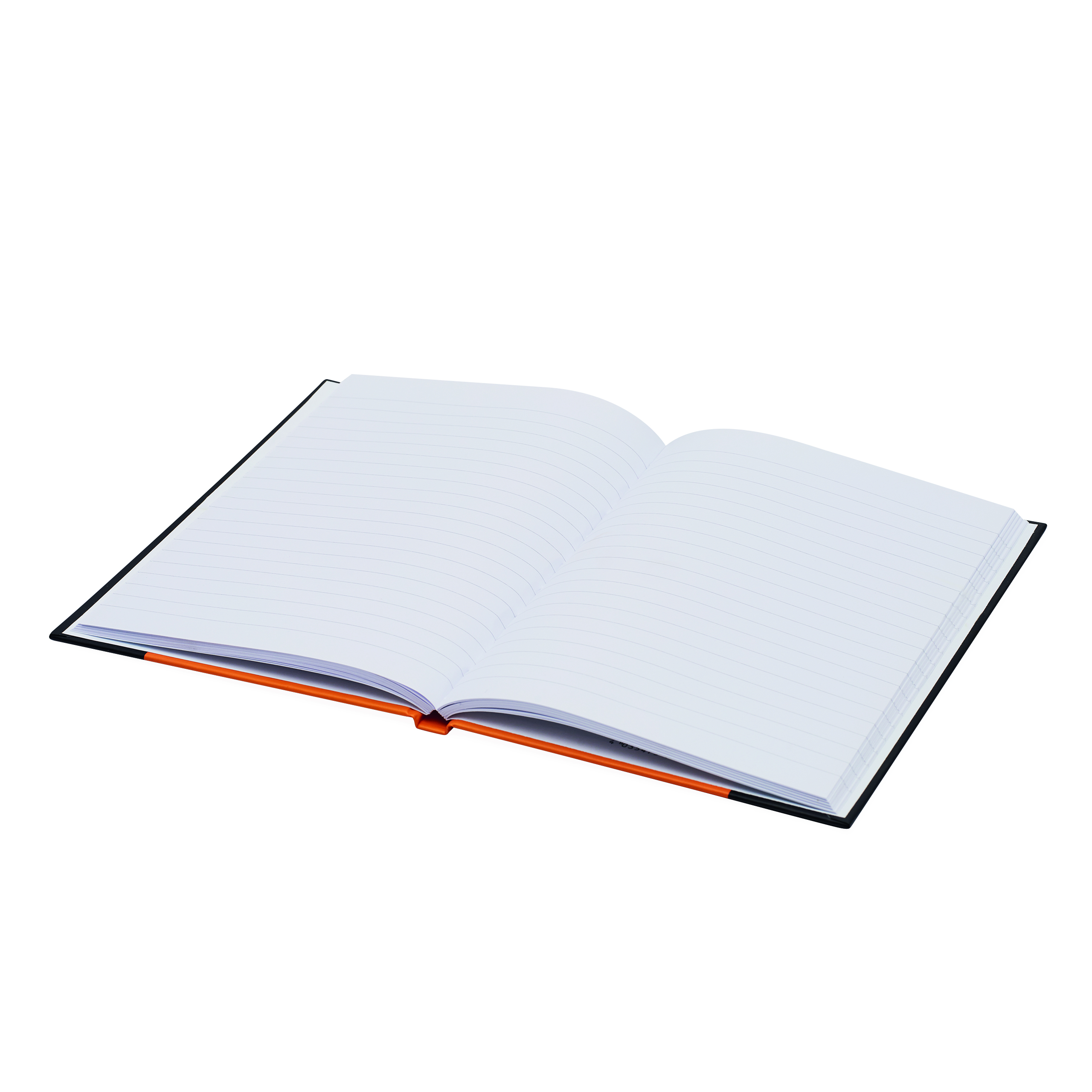 Notizbuch SIGNUM im DIN-A5-Format 56-1103325