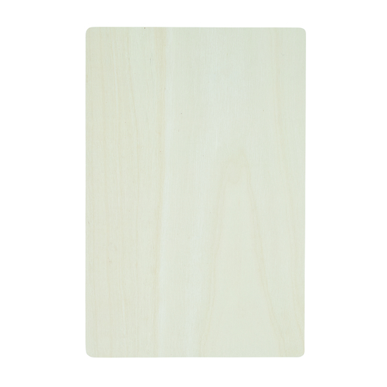 Holz-Puzzle BRAIN TWISTER