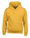 Heavy Blend™ Youth Hooded Sweatshirt