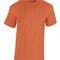Heavy Cotton™ Adult T-Shirt