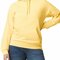 GSF500 Softstyle® Midweight Sweat Adult Hoodie