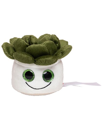 Schmoozies® Evergreenies® Sukkulente