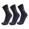 RP100632 Casual Socks (3 Pair Banderole)